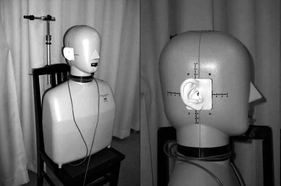head and torso simulator